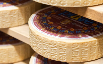 皮亚韦PDO奶酪 —— 由心而生的独特魅力